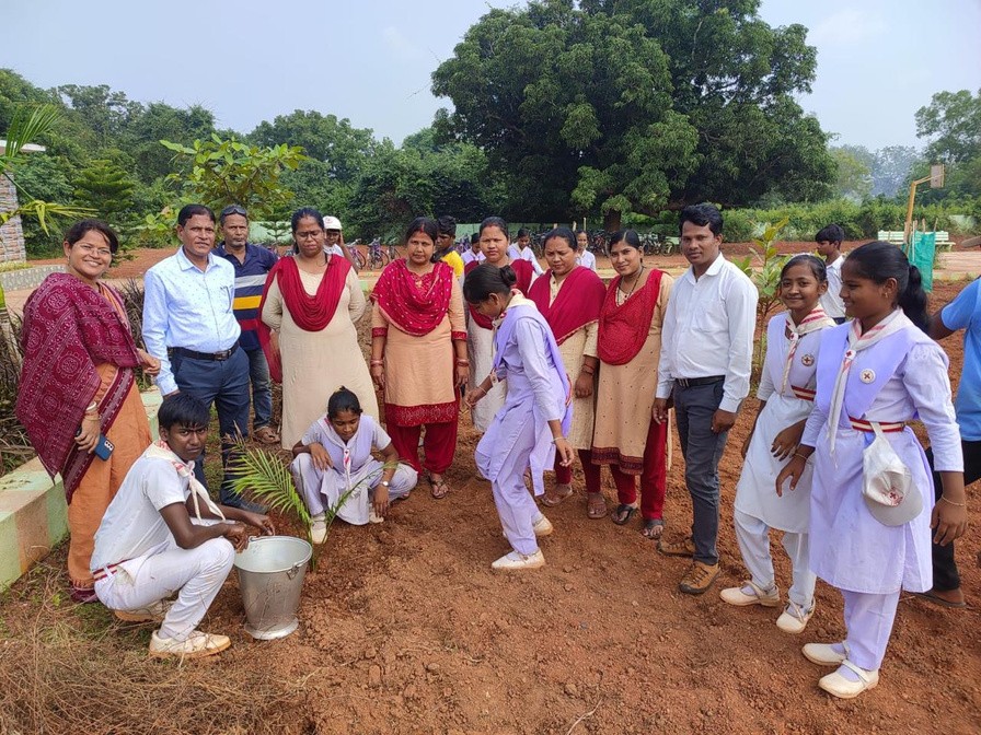 Protected Plantation